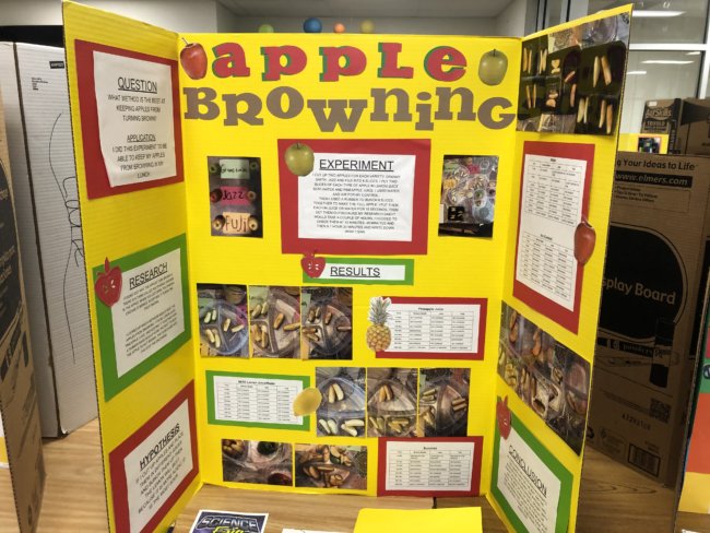 middle school science fair projects experiments